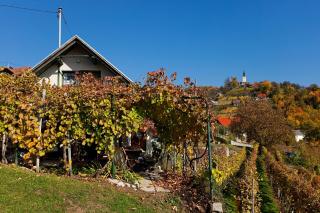 Vineyard Cottage Vercek - Novo Mesto - 9