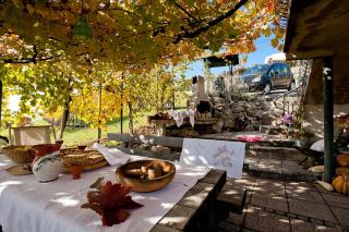 Vineyard Cottage Vercek - Novo Mesto - 7