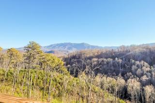 3 Lazy Bears Chalet - Gatlinburg - 9