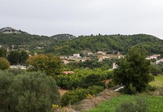 Apartments Ana - Lopud - 7