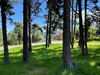 Le Chalet des Écureuils - 3 étoiles au pied des pistes - 1