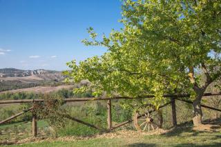 Podere Sant'Anna - 1