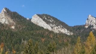 Le Chartreux de Saint Pierre de Chartreuse - Saint-Pierre-de-Chartreuse - 5