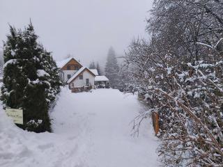 InGreen house - Bohinjska Bela - 7