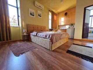 Ex-Block District charming studio apartment with treeish sorrounding view! - Tirana - 8