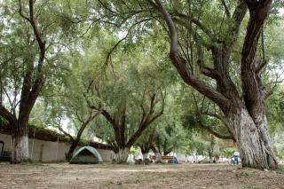Camping Koula - 0