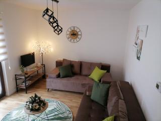 Apartman Pahuljica Tara - Kaludjerske Bare - 4