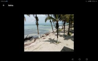 Buccaneer Resort - 5