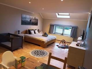 Petites-Tailles - chambre d'hôtes - Vielsalm - 8