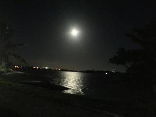 Ilha de Maria Guarda Um paraíso te aguarda - 3