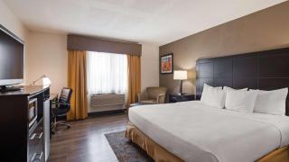 Best Western Plus Newark/Christiana Inn - Bear - 2
