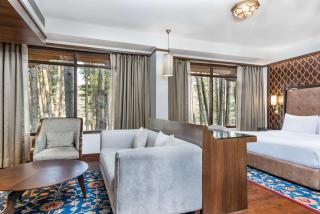 Radisson Golf Resort Pahalgam - Pahalgām - 5