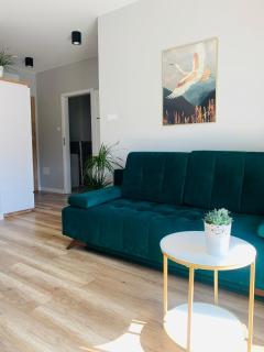 Apartament Stemar z dyżym baloknem - Gorzów Wielkopolski - 6