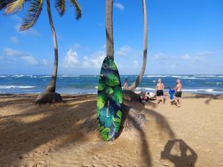 Puntacana Ecolodge Lavacama Beach Costa Arrecife by AA Crypto Group - Punta Cana - 7