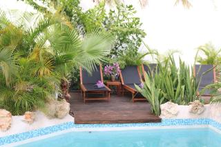 NEW HOUSE TROPIC PARADISE with Pool - Willemstad - 2