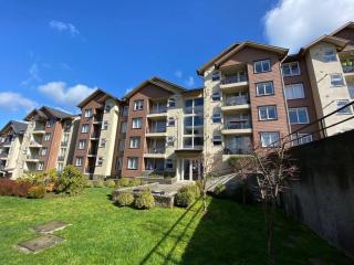 Departamento céntrico en Puerto Varas - Puerto Varas - 2