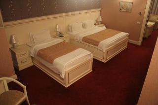 Alp Inn Hotel - 4