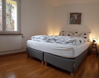 Interlaken City Apartments - Interlaken - 5