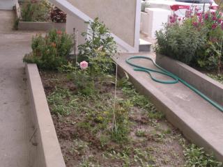 Fania Apartments - 5