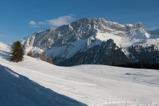 Appartement sur les pistes - Gryon - 1
