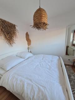 Saltwater Safari - 2