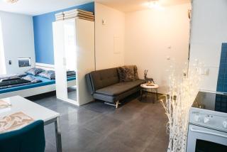 AlpseeGrünten - die Ferienwohnung - Immenstadt im Allgäu - 5