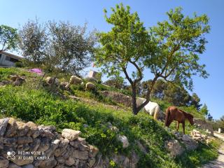 Casa con vistas, piscina y animales de granja, LA CASETA - Tarragona - 1