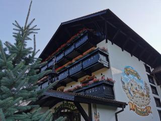 Brandeberg Pension & Restaurant - Bran - 7