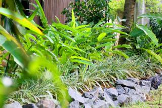 South Heaven villa -Four bed rooms house - Hikkaduwa - 7