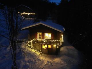 Petit chalet rustique et bucolique - Bovernier - 7