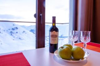 New Gudauri 2 Bedrooms Excellent View - 5