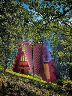 Zirahuen Forest and Resort - 9