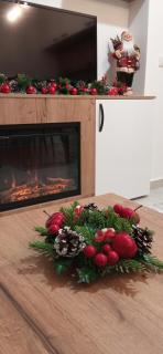 Apartman Zlatibor Philautia - 8