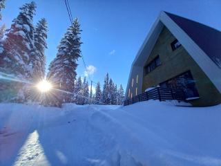 Olympic Oasis - 7