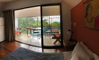 Cockatoo Studio Apartments - Manuel Antonio - 1