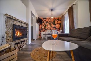 Vila Čarna Zlatibor - Zlatibor - 2