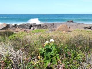 Rockview Guest House - Port Edward - 6