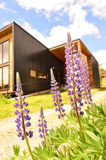 Alto Pangal Lodge Puerto Aysen - Puerto Aysén - 3