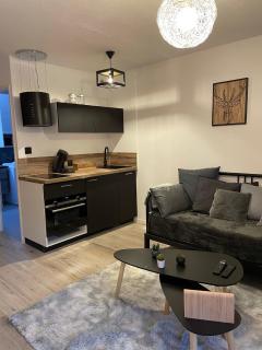 T2 hypercentre Luchon, jardin et parking privatifs - Saint-Mamet - 0