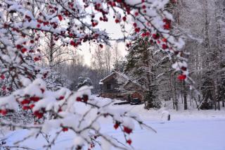 The Lake House "Ausatas" - Dobele - 9