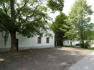 Penzion U Houšků - Stráž nad Nežárkou - 8