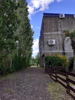 Huellas & raíces - 3