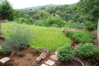 La Ripa Bed and Breakfast - Blera - 9