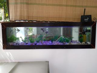 MN House - Unawatuna - 6