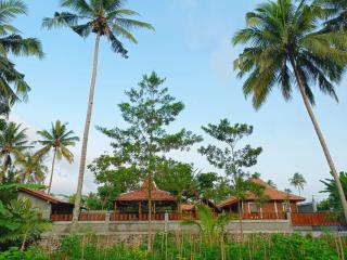 Angler Homestay & Joglo - 4