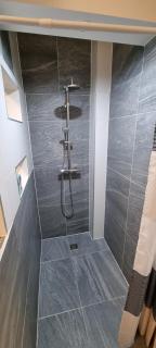 APARTMENT WILD - im Skigebiet Gerlitzen & Ossiacher See - Bodensdorf - 1