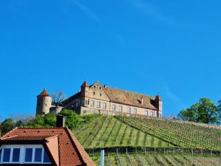 Hotel Landgasthof Fromm - Untergruppenbach - 9