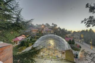Tarika Resort & Spa , Chail - Chail - 3