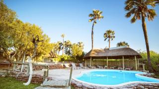 Palmwag Lodge - Palm - 4