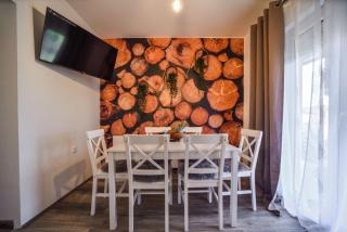 Vila Čarna Zlatibor - Zlatibor - 4